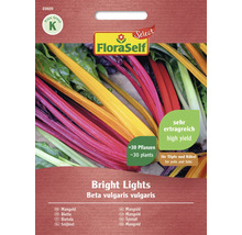 FloraSelf Bright Lights Mangoldsamen für circa 30 Pflanzen