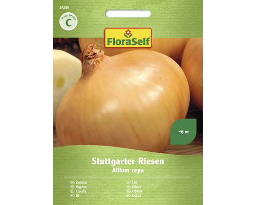 Gemüsesamen FloraSelf Zwiebel 'Stuttgarter Riesen'