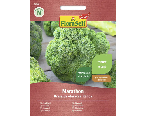 Gemüsesamen FloraSelf Select Broccoli 'Marathon F1'