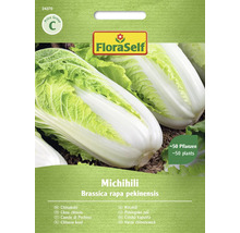FloraSelf Michihili Chinakohl Samenpackung für circa 50 Pflanzen