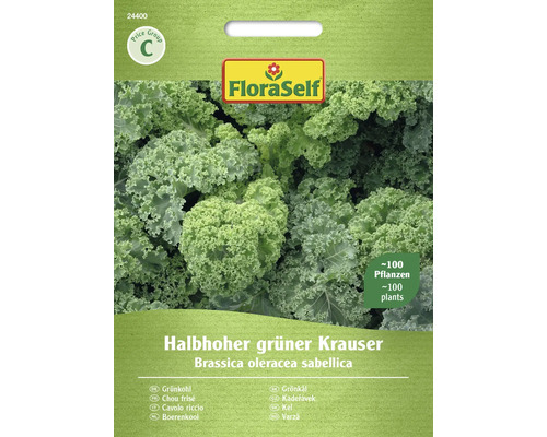 Gemüsesamen FloraSelf Grünkohl Krauskohl 'Halbhoher grüner Krauser'