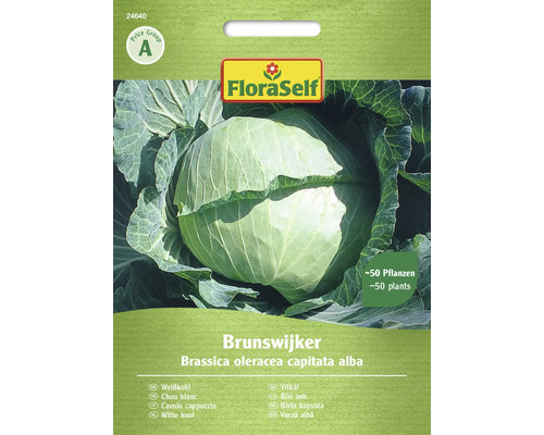 Gemüsesamen FloraSelf Weißkohl 'Brunswijker'