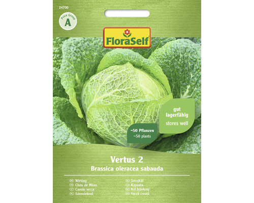 Gemüsesamen FloraSelf Wirsing 'Vertus 2'