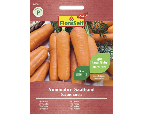 Gemüsesamen Saatband FloraSelf Select Karotte 'Nominator F1'