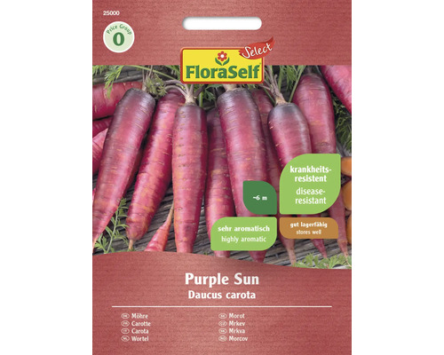 Gemüsesamen FloraSelf Select Karotte 'Purple Sun F1'