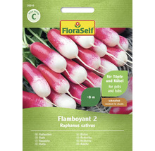 FloraSelf Radieschen Flamboyant 2 Samen