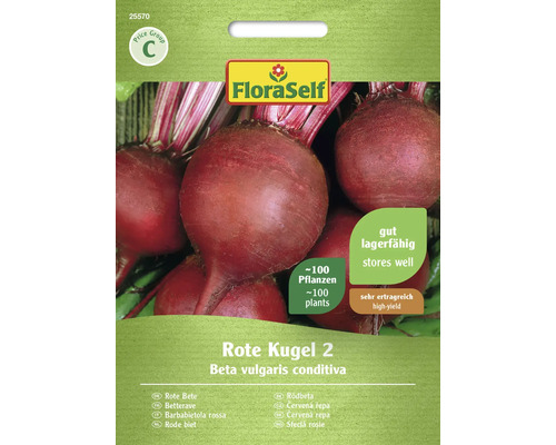 Rote Rüben Samen ‚Rote Kugel 2‘ – Ca. 150 Samen, Schwarzrot, Kugelrund