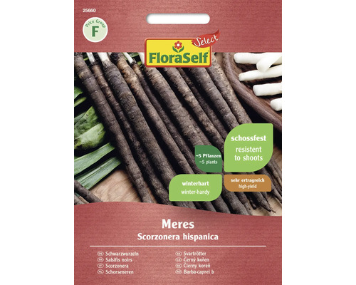 Gemüsesamen FloraSelf Select Schwarzwurzel 'Meres'
