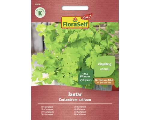 Kräutersamen FloraSelf Select Koriander 'Jantar'