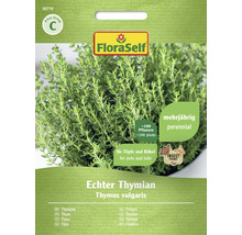 Echter Thymian Samenpackung von FloraSelf