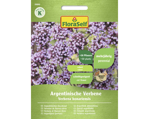 Blumensamen FloraSelf Eisenkraut/Verbena bonariensis 'Noriko'