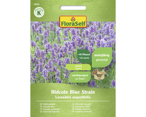 Kräutersamen FloraSelf Lavendel 'Hidcote Blue Strain'