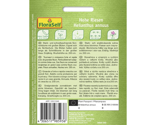 Samenpackung für hohe Riesen Sonnenblumen der Art Helianthus annuus