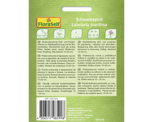 Verpackung Schneeteppich Lobularia maritima