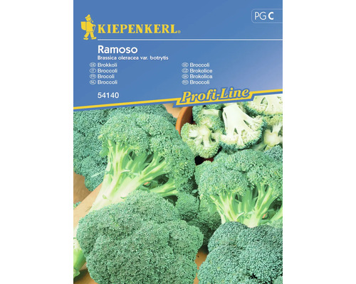 Gemüsesamen Kiepenkerl Broccoli 'Ramoso'