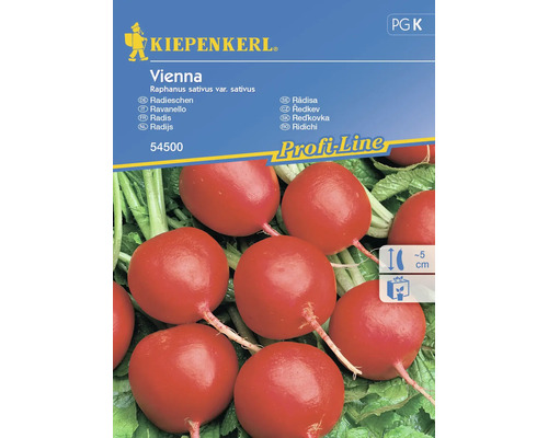 Gemüsesamen Kiepenkerl Radieschen 'Vienna'
