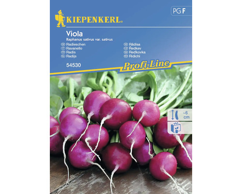 Gemüsesamen Kiepenkerl Radieschen 'Viola'