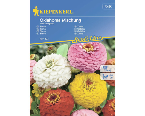 Blumensamen Kiepenkerl Zinnie 'Oklahoma Mischung'