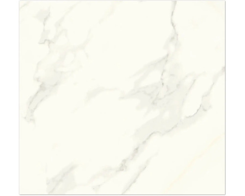 Feinsteinzeug Bodenfliese Calacatta 60x60 cm weiß creme rektifiziert