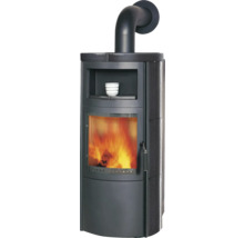 Kaminofen mit Feuerraum und Ablage