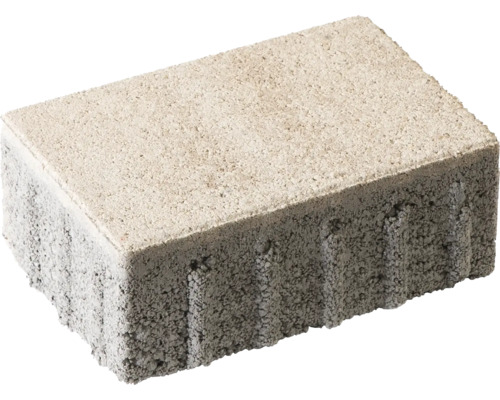Einzelner Pflasterstein aus Beton