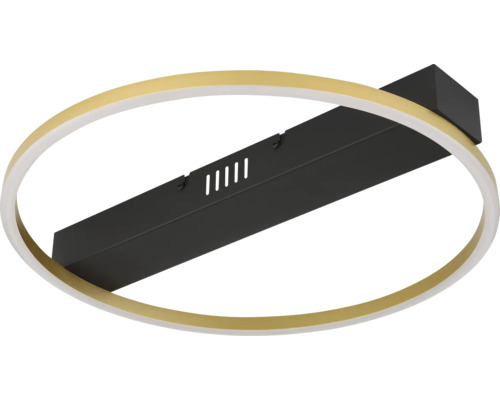 Ovale LED-Deckenleuchte mit schwarzer Halterung