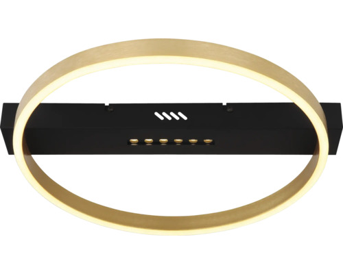 Deckenleuchte mit Ringform und LED
