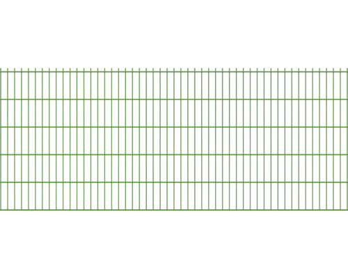 Doppelstabmatte 6/5/6 251 x 103 cm grün