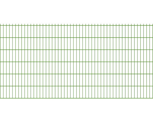 Doppelstabmatte 6/5/6 251 x 123 cm grün