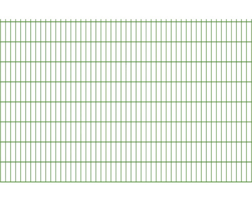 Doppelstabmatte Typ 6/5/6 251 x 163 cm RAL 6005 moosgrün Doppelstabmatte Typ 6/5/6 251 x 163 cm RAL 6005 moosgrün