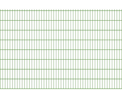 Doppelstabmatte 6/5/6 251 x 163 cm grün