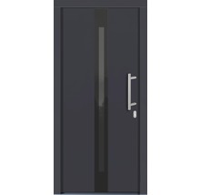 Graue Haustür mit Glaseinsatz und Griff