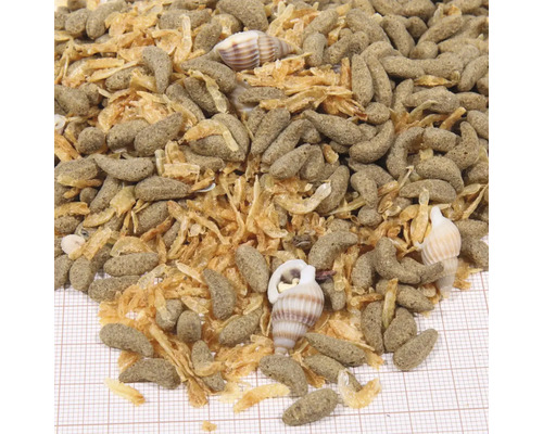 Aquarienfischfutter mit Garnelen und Muscheln