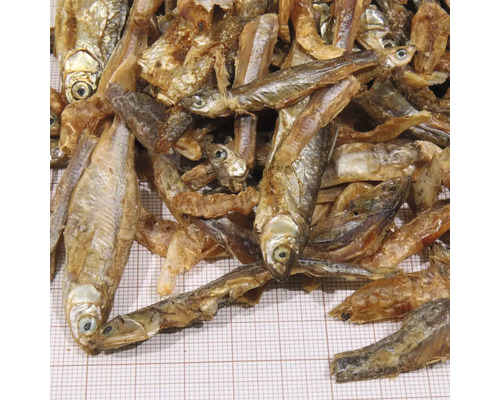 Getrocknete Fische in Nahaufnahme