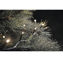 Nahaufnahme einer beleuchteten Lichterkette auf einem Weihnachtsbaum
