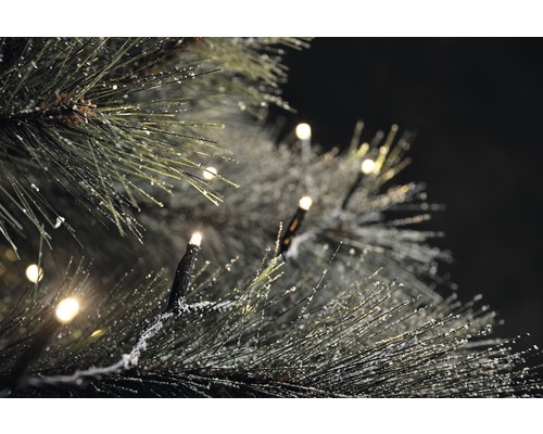 Nahaufnahme einer beleuchteten Lichterkette auf einem Weihnachtsbaum