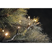 Nahaufnahme einer Lichterkette an einem mit Schnee bedeckten Nadelbaum
