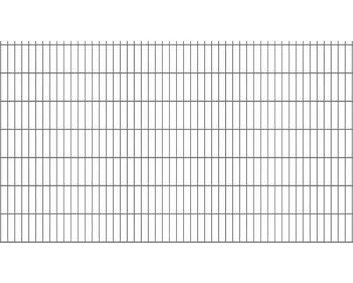 Doppelstabmatte 6/5/6 251 x 143 cm anthrazit