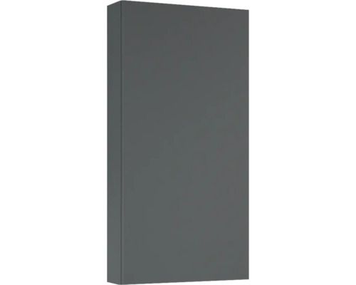 Hängeschrank Jungborn 40x80x12,6 cm anthrazit matt