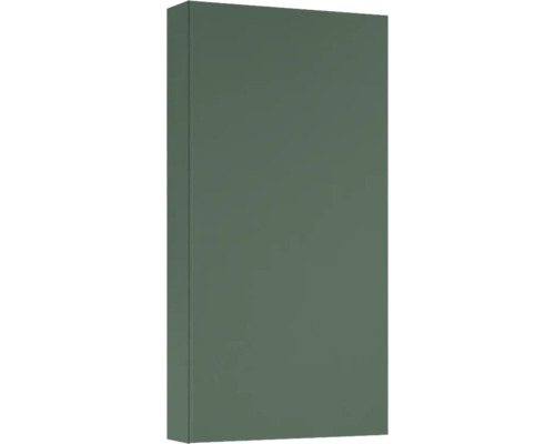 Hängeschrank Jungborn 40x80x12,6 cm forrest grün matt