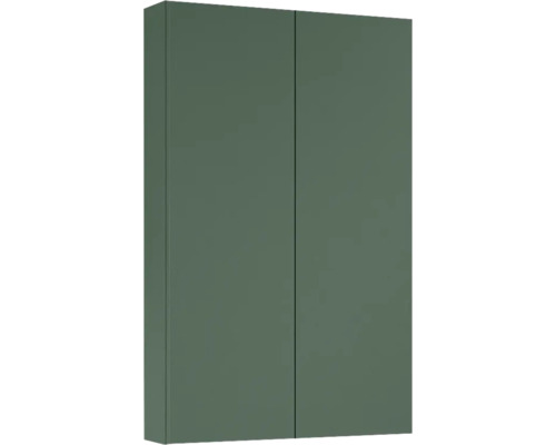 Hängeschrank Jungborn 50x80x12,6 cm forrest grün matt