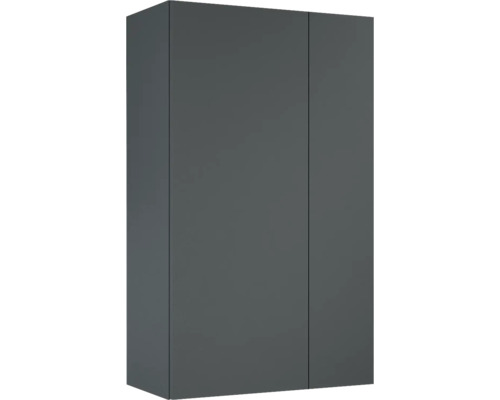 Hängeschrank Jungborn 100x59,6x31,6 cm anthrazit matt