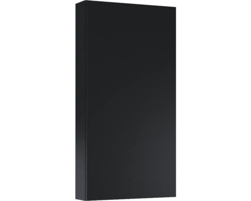 Hängeschrank Jungborn 40x80x12,6 cm schwarz matt