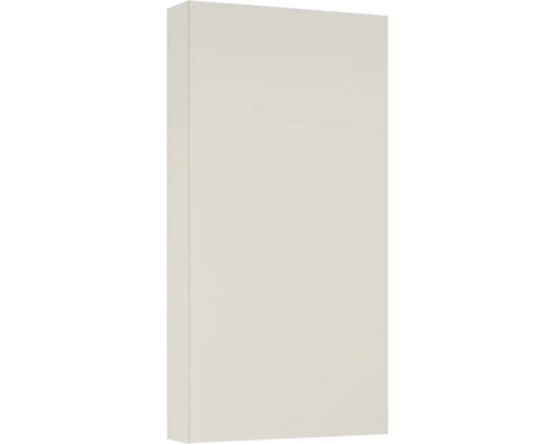 Hängeschrank Jungborn 40x80x12,6 cm fume matt