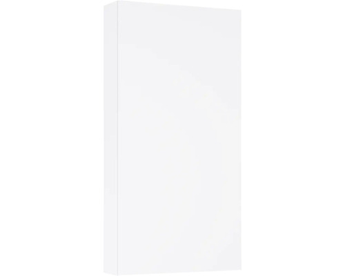 Hängeschrank Jungborn 40x80x12,6 cm weiß matt