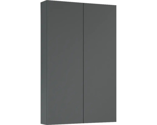 Hängeschrank Jungborn 50x80x12,6 cm anthrazit matt