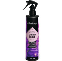 Lechuza Orchid Gloss Blattspray, 225 ml Flasche