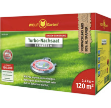 Wolf Garten Turbo-Nachsaat Schatten, 2,4 Kilogramm Packung für Rasensanierung