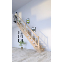 Holztreppe mit weißem Geländer in einem hellen Raum mit Bildern und einer Pflanze.