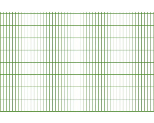 Zaun 251 cm x 163 cm grün